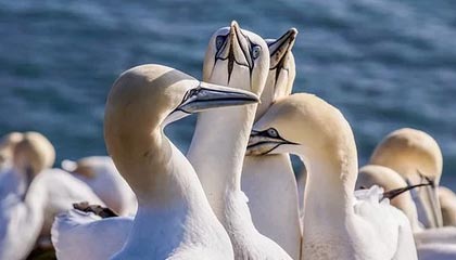 广州恒大客场战胜对手，继续保持领先优势，广州恒大主场地址