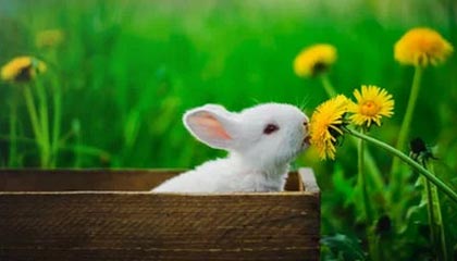 克劳利镇阵容深度提升，红魔低调冲刺附加赛，克劳利狂潮